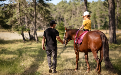 Equestrian Instructor Insurance: Professional Liability Coverage for Horse Trainers