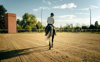 Horse Trainer Liability Insurance Explained
